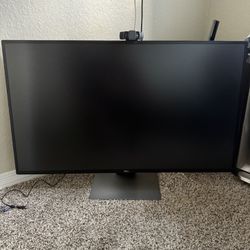 Dell 43” Monitor