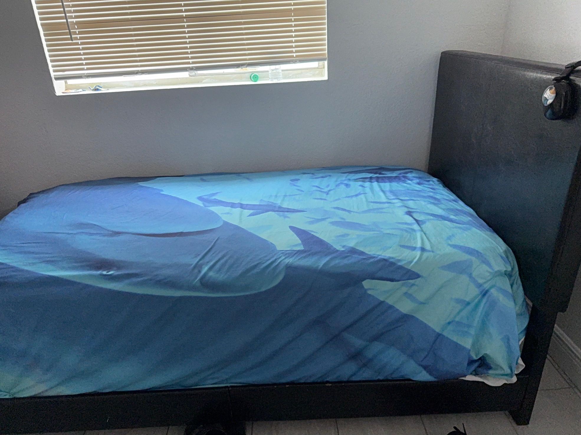 Mattress With Bed Frame