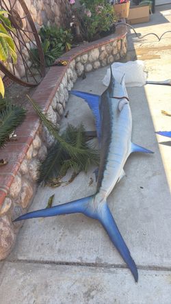 Marlin Fish
