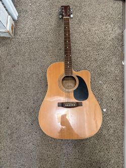 beastler acoustic guitar