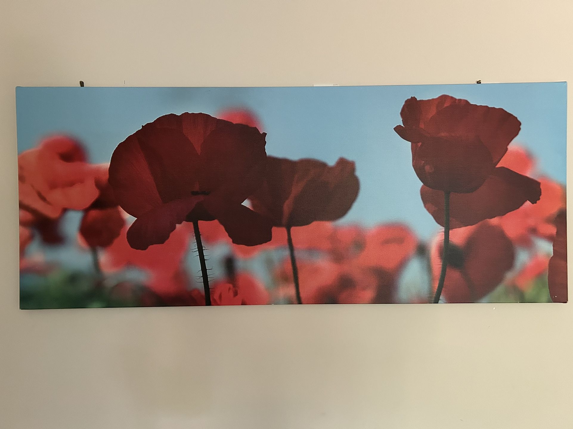 Canvas Wall Art