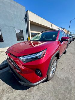 2025 Toyota RAV4 Limited AWD