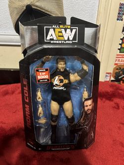 AEW Adam Cole Chase Figure 1 of 5000 Series 10 Unmatched Series #80 With Case