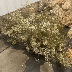 Dried Real Baby’s Breath