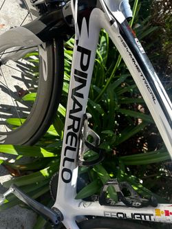 Pinarello Road Bike