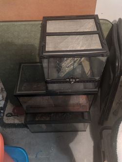 Aquariums With Lids