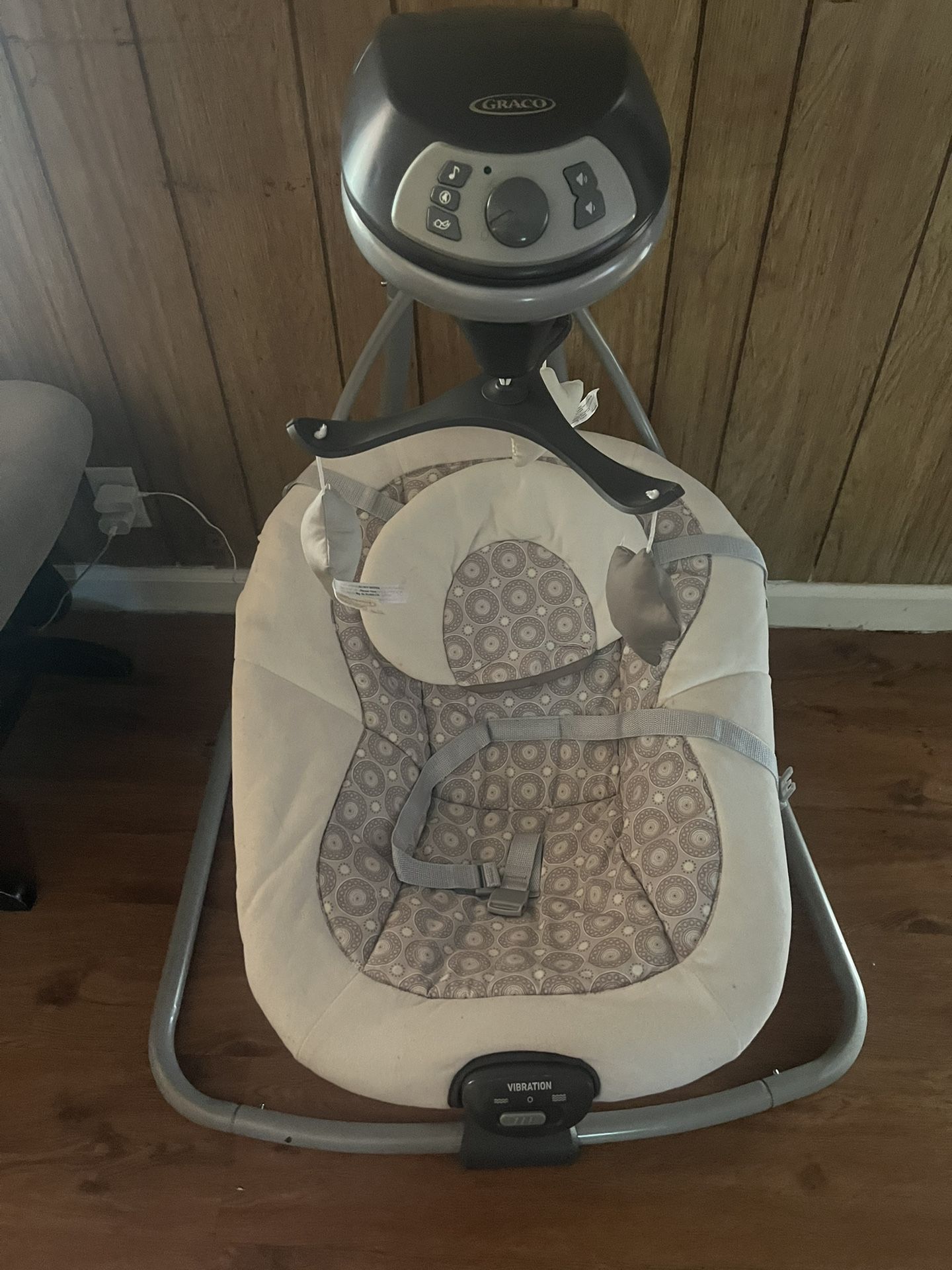 Graco Infant Swing 