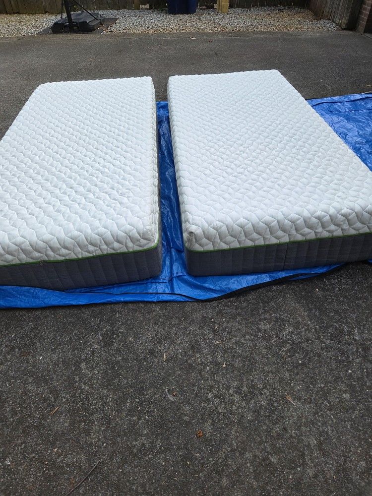 Cariloha Split King/Twin XL Mattresses