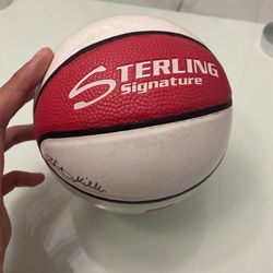 mini basketball
