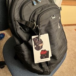 ThuLe Backpack