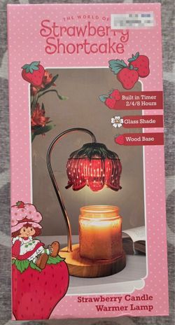Strawberry Shortcake candle warmer
