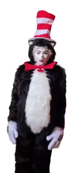 Costume /The cat and the hat