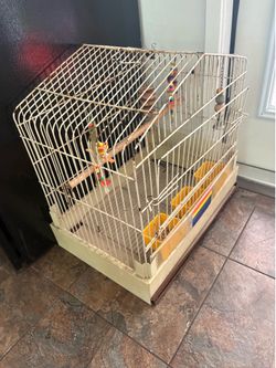 Bird Cage