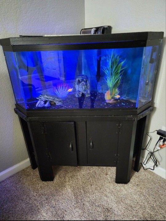 Fish Tank