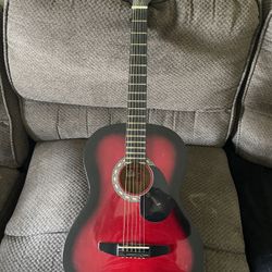 Rogue Rag-r Acoustic Guitar