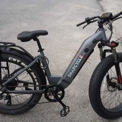 Electric Bike For Sale