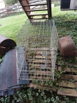 Medium wire cage