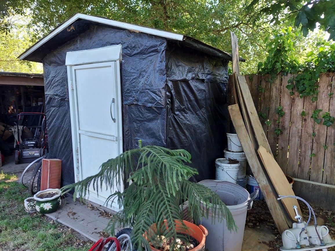 Shed