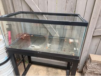 40 gallon fish tank with stand