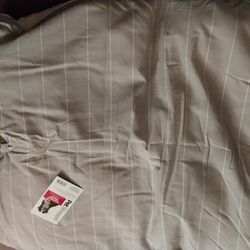 Dog's  Bed