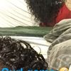 Kaydubb
