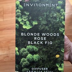 ENVIRONMENT BLONDE WOODS