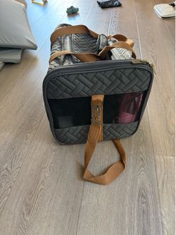 Dog travel carrier.