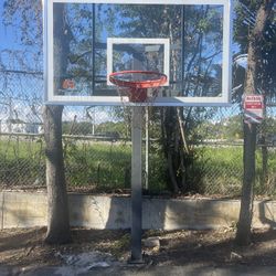 Basketball Ball Hoop In Ground