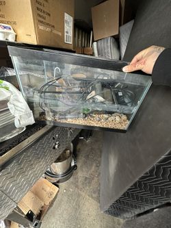 Fish Tank