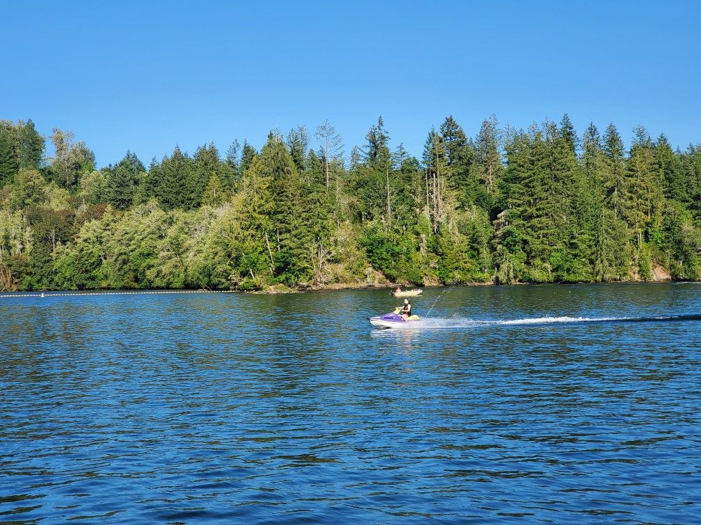 1995 Yamaha Vxr