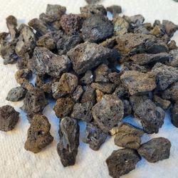 Freshwater Shrimp Accessories 