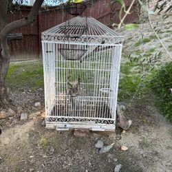 Large Antique Birdcage
