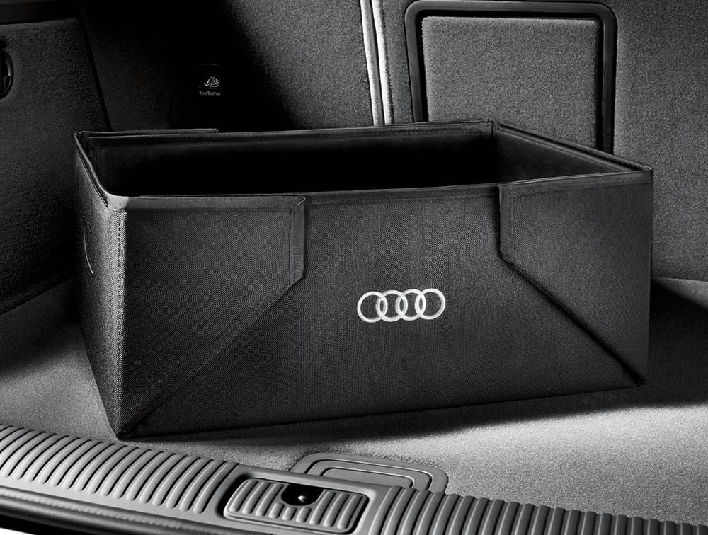 Audi Cargo Box $50 New