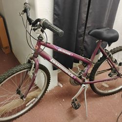 DIAMONDBACK LADIES BIKE