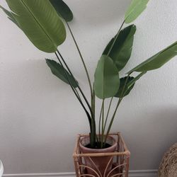 Artificial Birds Of Paradise