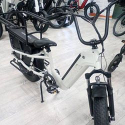 TST Carrier Cargo E-Bike – For Groceries, Kids & Off-Road Commutes