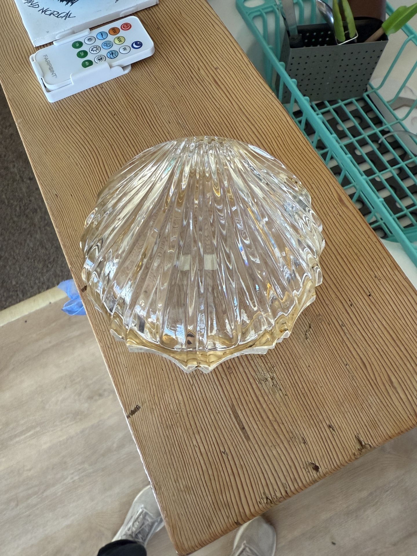 Glass Shell Trinket Dish