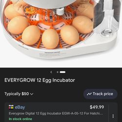 Egg Incubator 