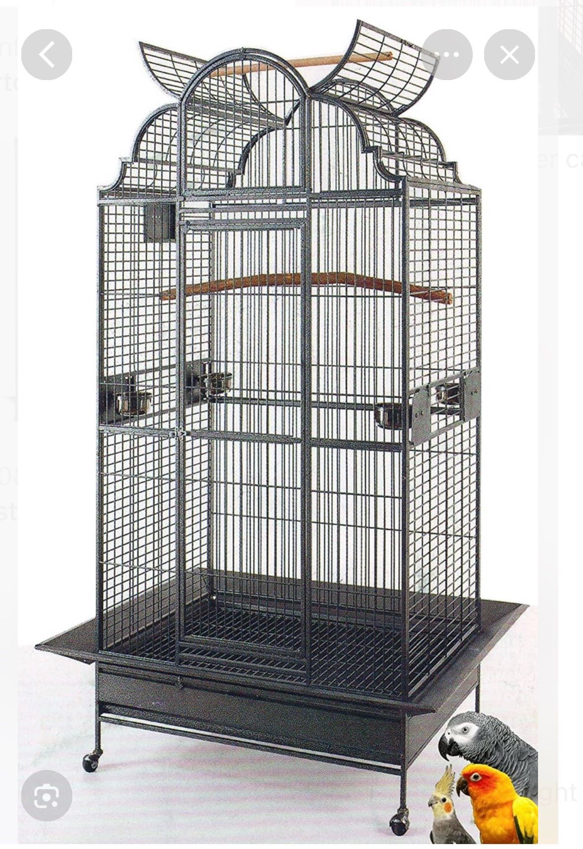 Parrot cage