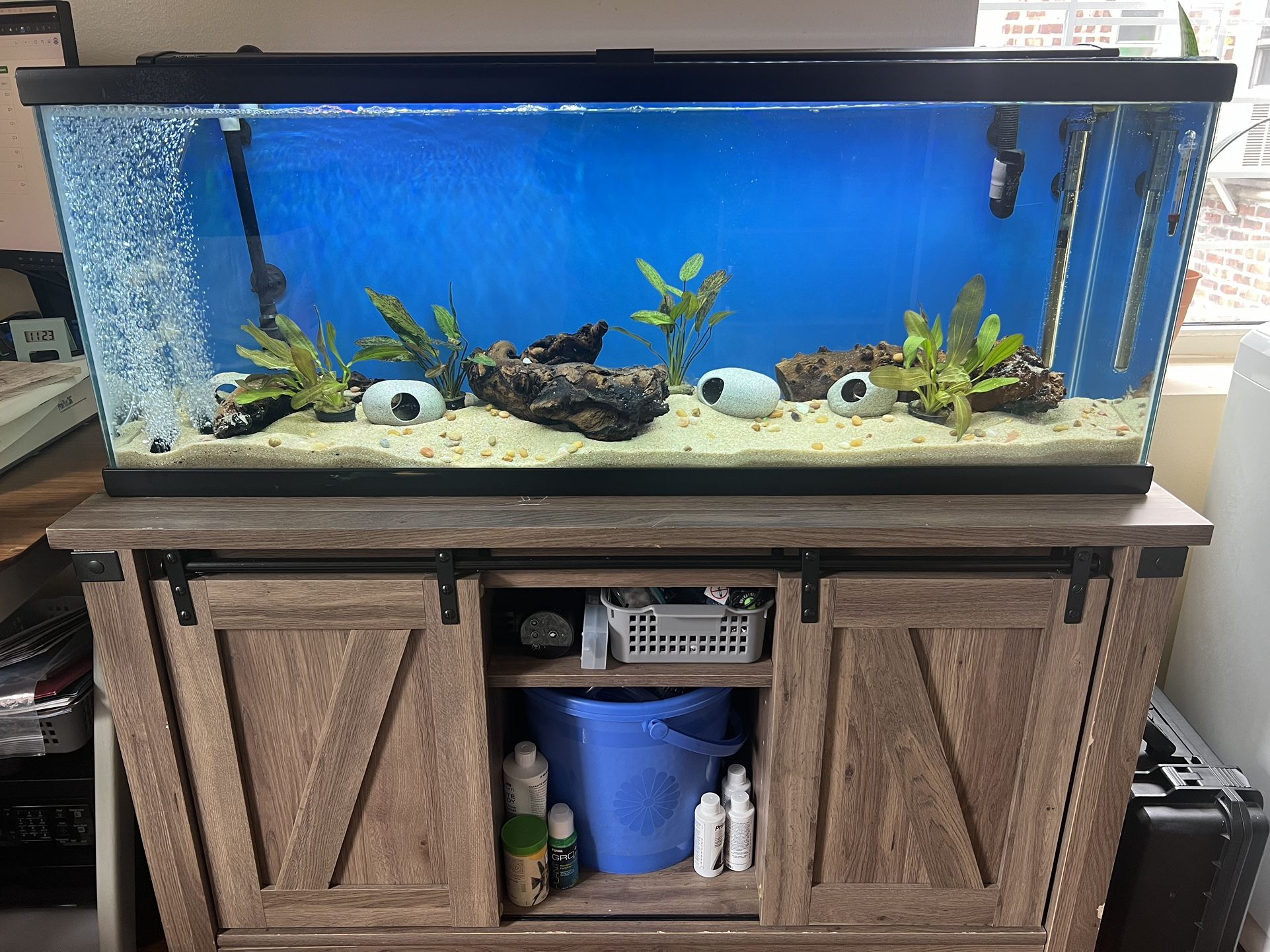 Aquarium Fish Tank 60 Gallons, Stand & Full Setup