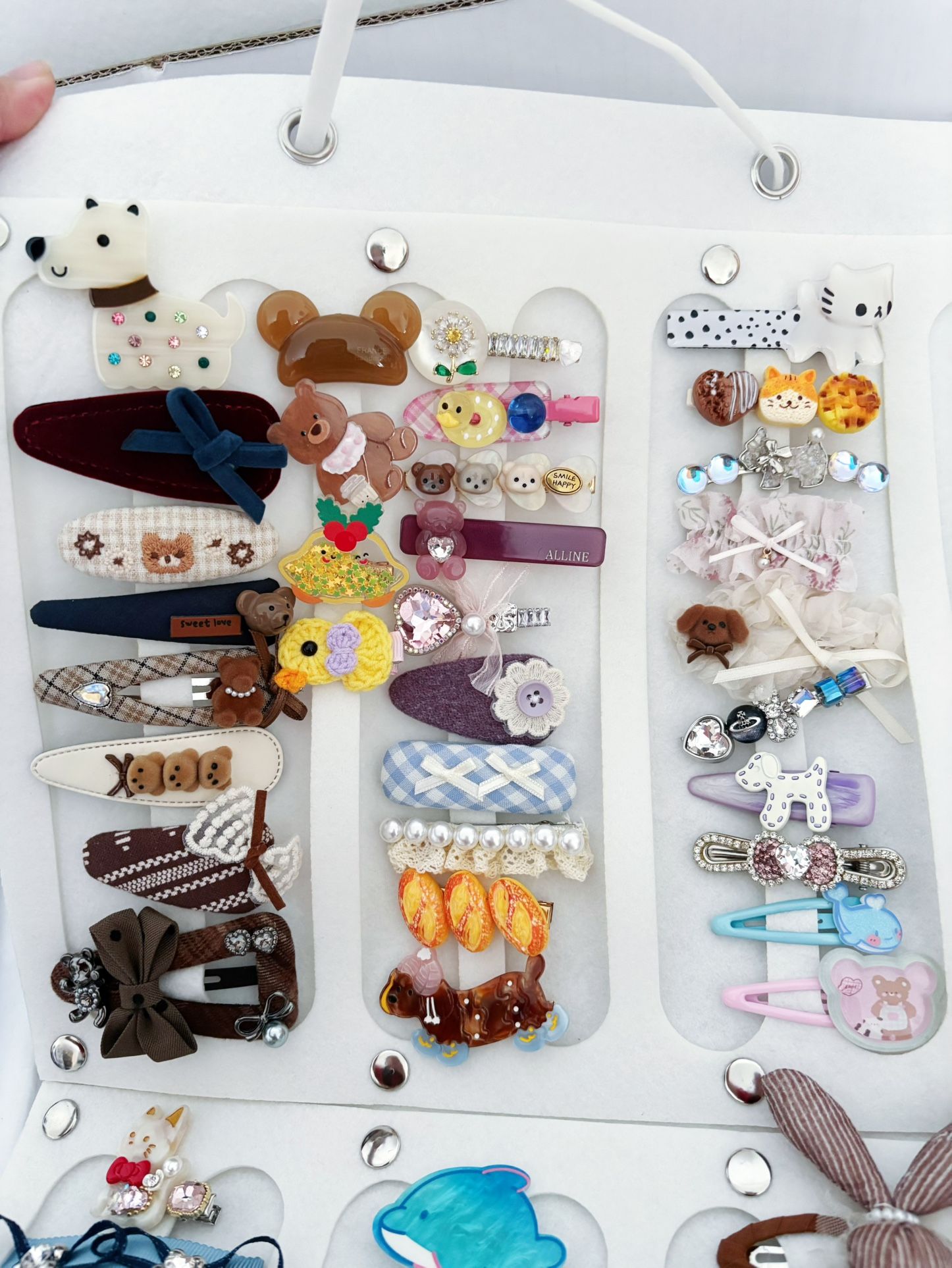 Hair clip organizer/book