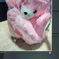 Large Pink Teddy Bear