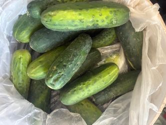 Cucumbers