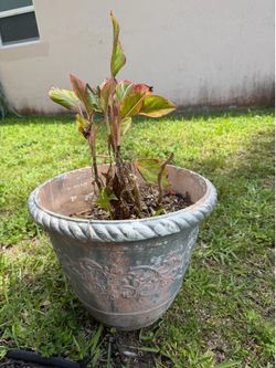 Fiberglass Planter Pot Garden Patio