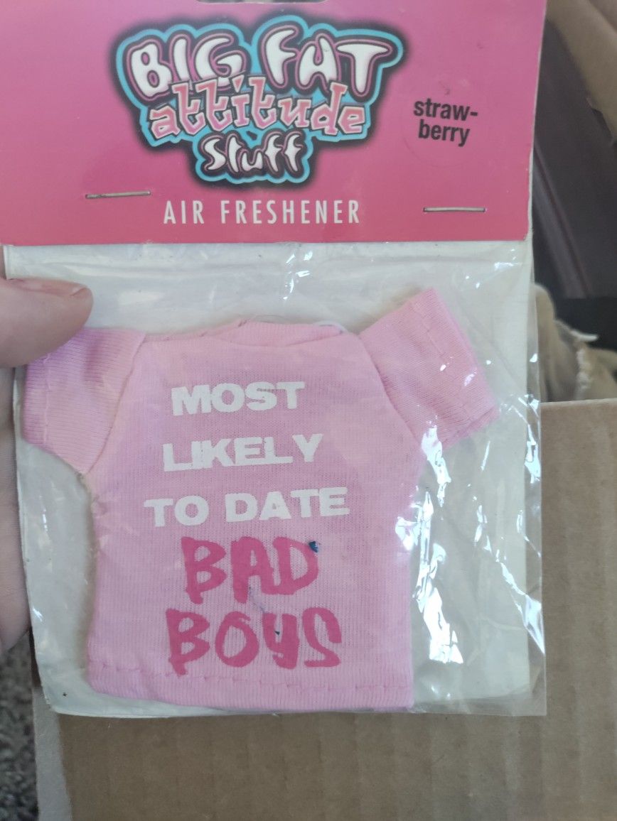 Most Likely To Date Bad Boys Air Fresher