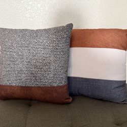 2 Throw Pillows