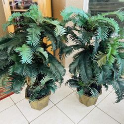 Fake Plants 