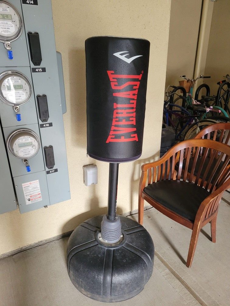 Everlast Boxing punching bag