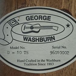 George Washburn Acustic Guitar D10TS