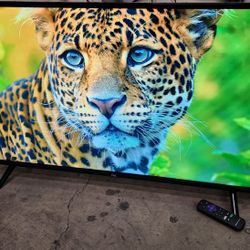 40" 1080p FHD Roku Smart LED TV Model 2020